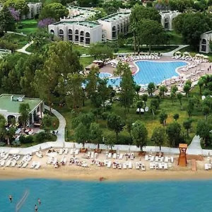 https://aurum-spa-beach-resort-altinkum.aegeanhotels.net
